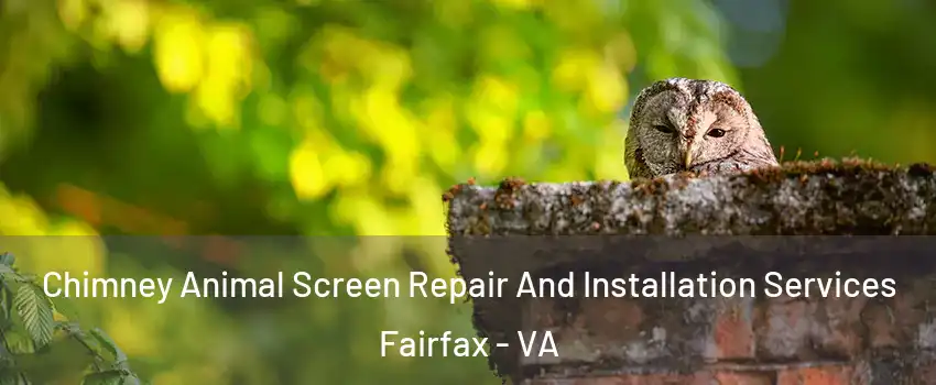  Chimney Animal Screen Repair And Installation Services Fairfax - VA