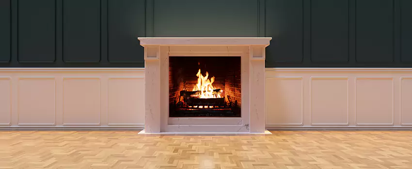 Napoleon Electric Fireplaces Inspection Service in Fairfax, Virginia