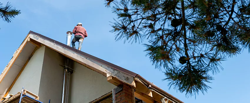 Birds Removal Contractors from Chimney in Fairfax, VA