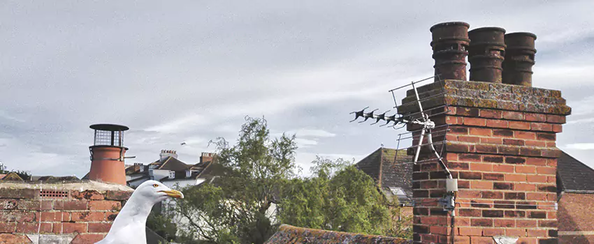 Chimney Cleaning And Restoration in Fairfax, Virginia