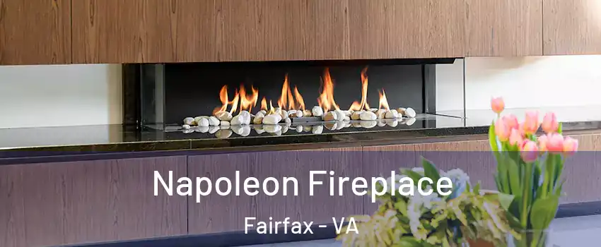  Napoleon Fireplace Fairfax - VA
